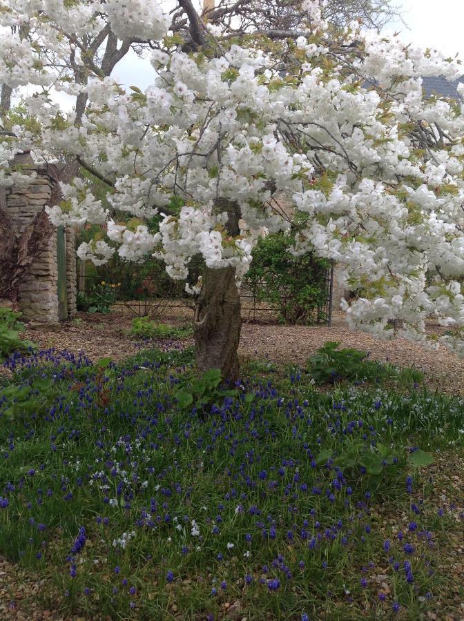 Orchard Cottage, Clematis Cottages, Stamford. Accessible Luxury Home. Exterior foto